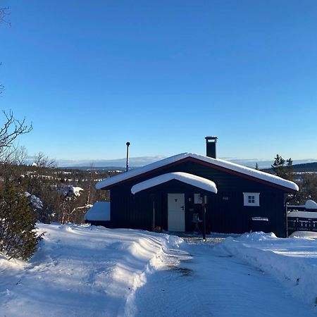 Cabin In The Mountain, Outstanding View & Solar Energy Vollen エクステリア 写真