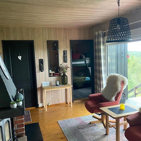 Cabin In The Mountain, Outstanding View & Solar Energy Vollen エクステリア 写真