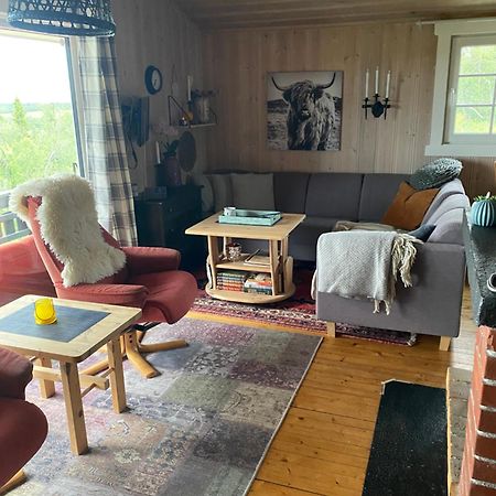 Cabin In The Mountain, Outstanding View & Solar Energy Vollen エクステリア 写真