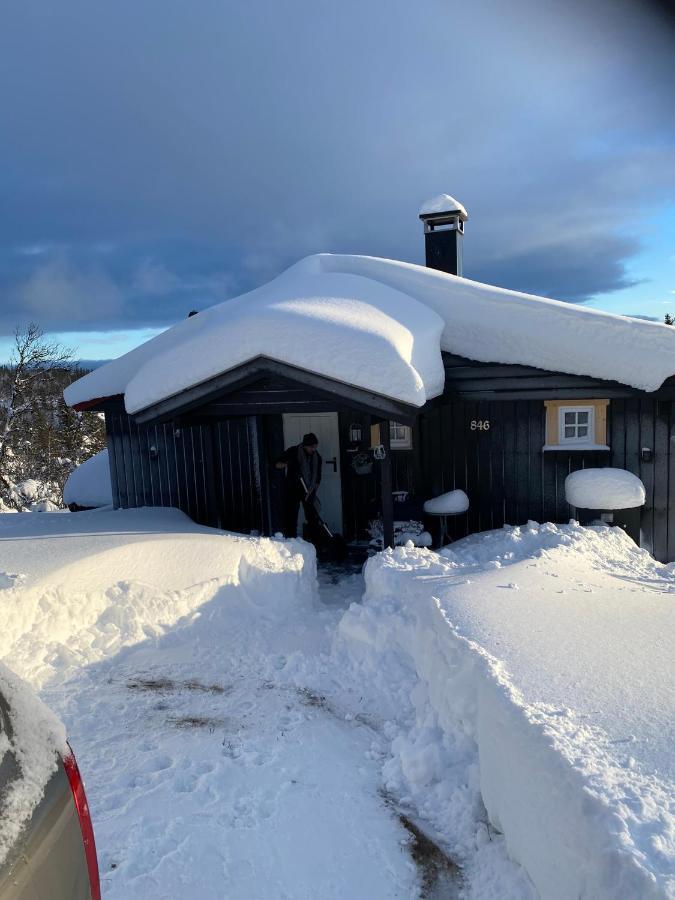 Cabin In The Mountain, Outstanding View & Solar Energy Vollen エクステリア 写真