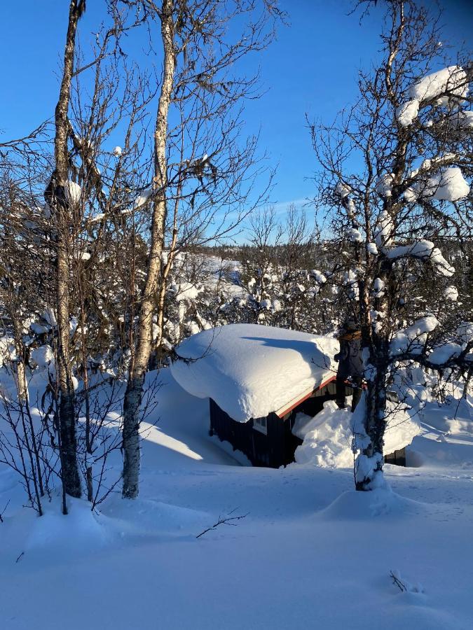 Cabin In The Mountain, Outstanding View & Solar Energy Vollen エクステリア 写真