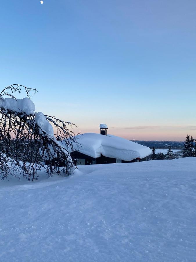 Cabin In The Mountain, Outstanding View & Solar Energy Vollen エクステリア 写真