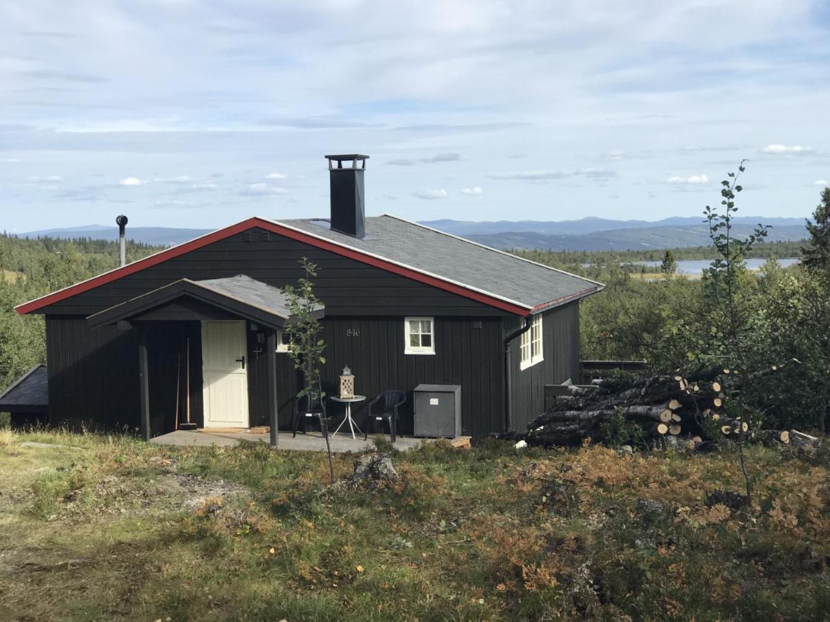 Cabin In The Mountain, Outstanding View & Solar Energy Vollen エクステリア 写真