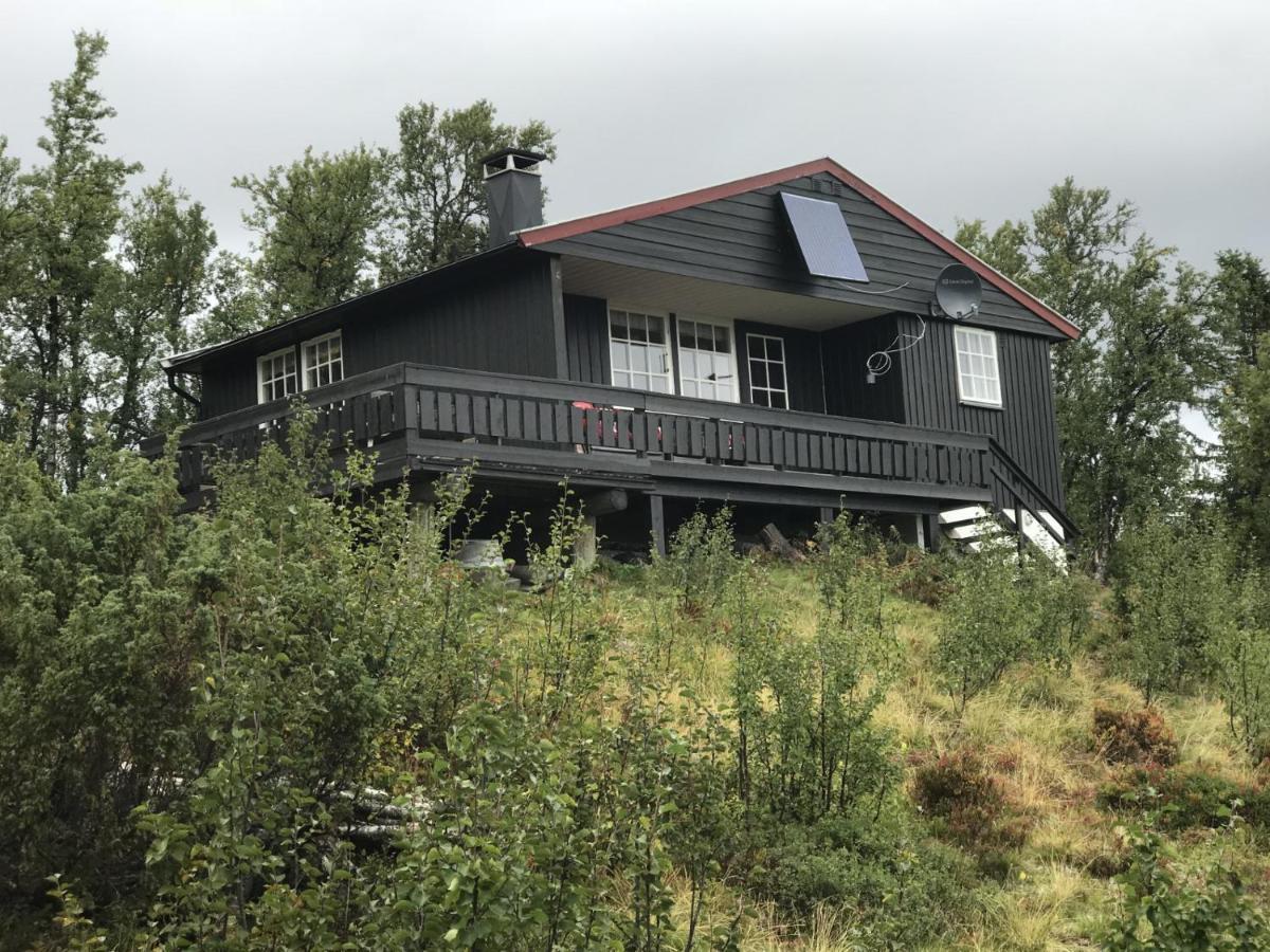 Cabin In The Mountain, Outstanding View & Solar Energy Vollen エクステリア 写真