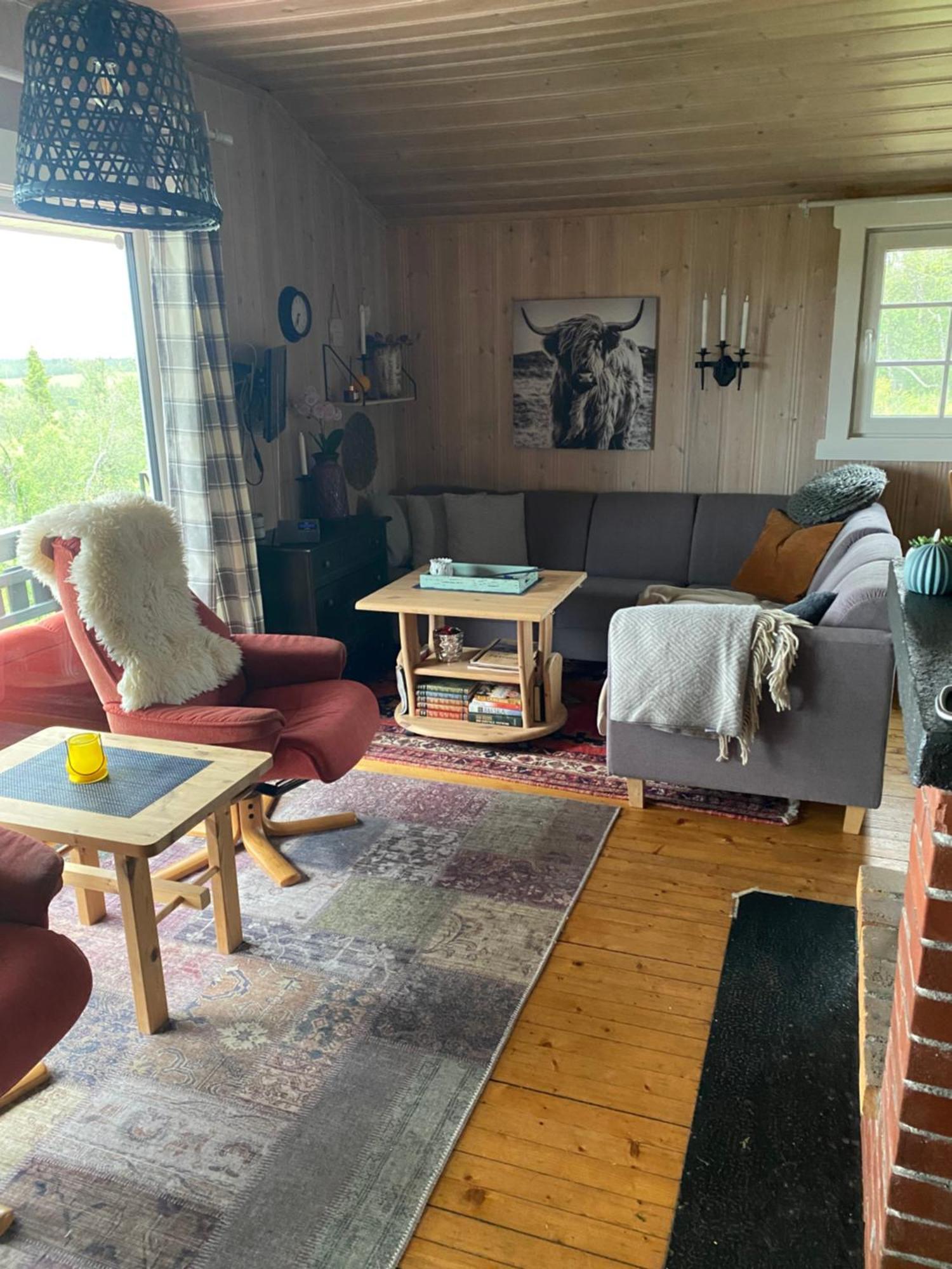 Cabin In The Mountain, Outstanding View & Solar Energy Vollen エクステリア 写真