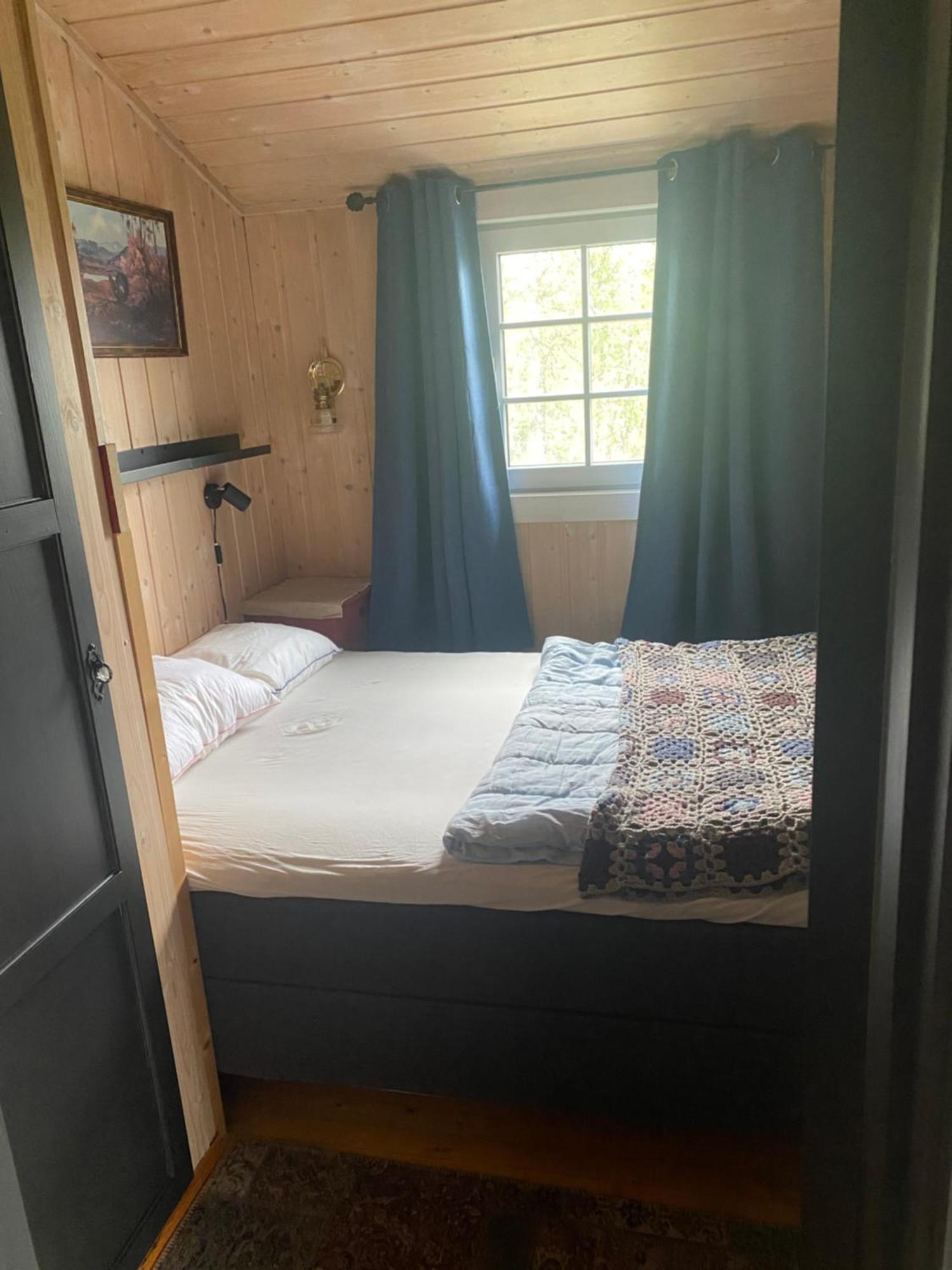 Cabin In The Mountain, Outstanding View & Solar Energy Vollen エクステリア 写真